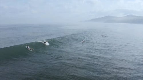 冲浪者在有雾的日子骑浪 · 免费素材视频
