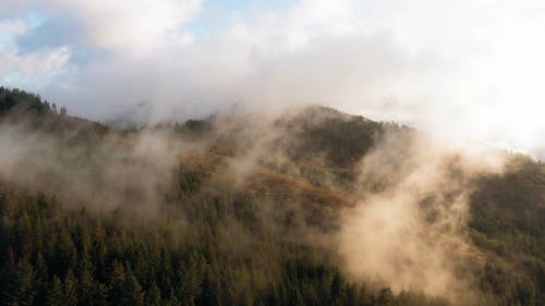 郁郁葱葱的植被与满山的空中鸟瞰图 · 免费素材视频