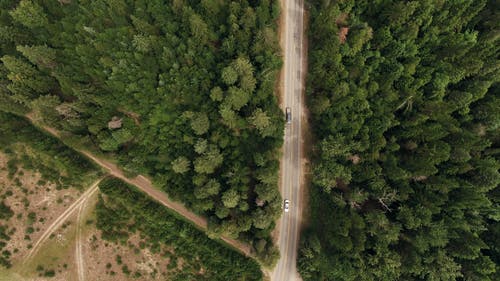 公路网穿过森林 · 免费素材视频
