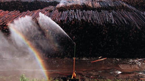 在木材场洒水 · 免费素材视频