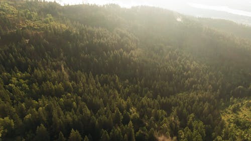 日光下甘美山风景景观的航拍 · 免费素材视频