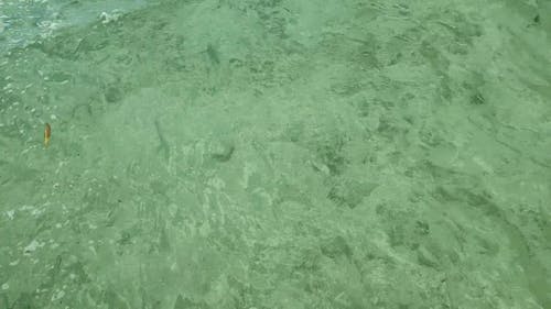 海滩的清澈的水 · 免费素材视频