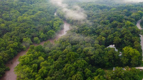 一条河穿过茂密的森林 · 免费素材视频