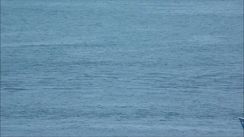 蓝色的渔船 · 免费素材视频