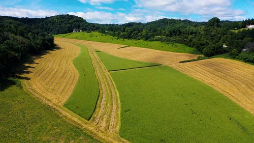 农业领域的无人机画面 · 免费素材视频