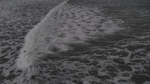 人冲浪 · 免费素材视频
