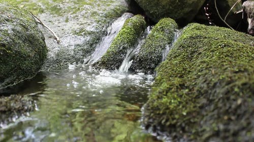 清澈的水流下长满苔藓的岩石 · 免费素材视频