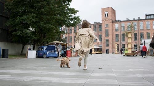 女人与她的狗跑 · 免费素材视频
