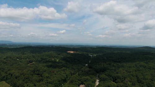 在城市森林中的一片空地的无人机画面 · 免费素材视频