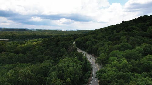 森林社区的无人机画面 · 免费素材视频