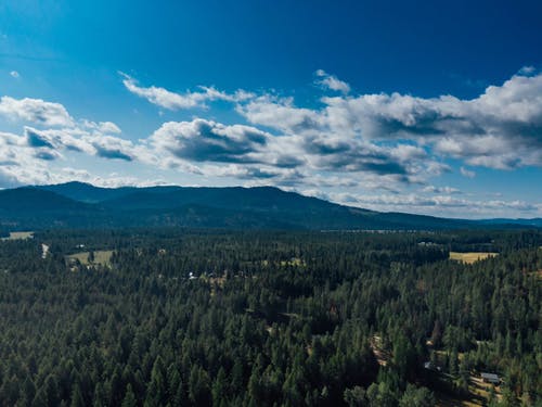 无人机镜头的城市森林 · 免费素材视频