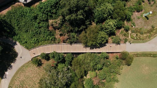 骑自行车的人穿过一座木桥 · 免费素材视频