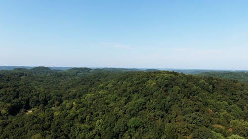 无人机镜头的一片森林 · 免费素材视频