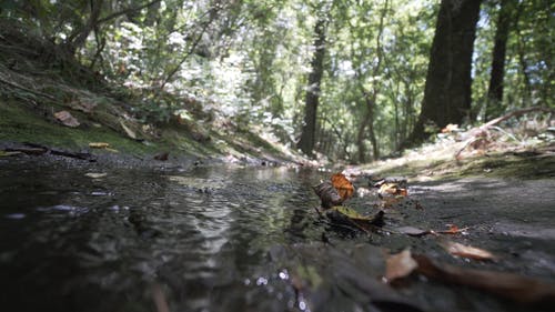 电影流风格 · 免费素材视频