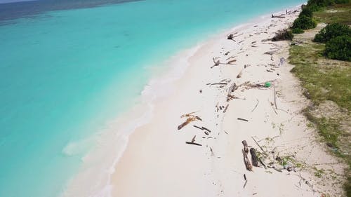 被海浪冲刷的海边的碎片 · 免费素材视频