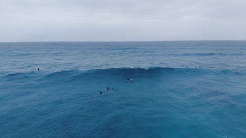 冲浪者敲响海浪 · 免费素材视频