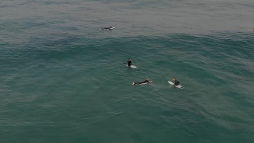 冲浪者在他们的冲浪板上的海水上涉水的鸟瞰图 · 免费素材视频