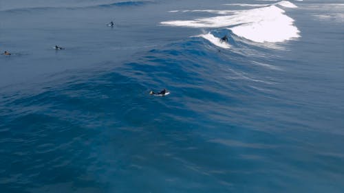 冲浪者骑着大海的大浪 · 免费素材视频