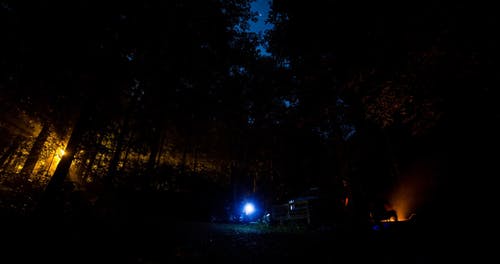 森林在晚上与人露营 · 免费素材视频