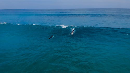 冲浪者乘着海浪 · 免费素材视频