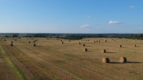 农田景观鸟瞰图与从田间收获的每桶干草 · 免费素材视频