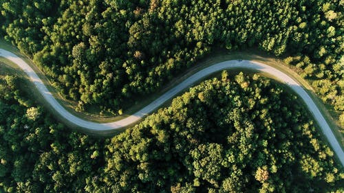 横跨森林的曲折路 · 免费素材视频