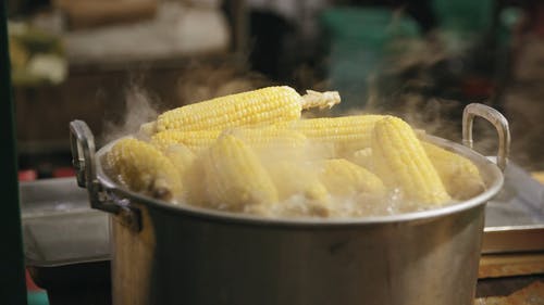 在沸腾的水中煮玉米棒子 · 免费素材视频