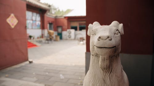 用石头铸成的动物雕像的镜头 · 免费素材视频