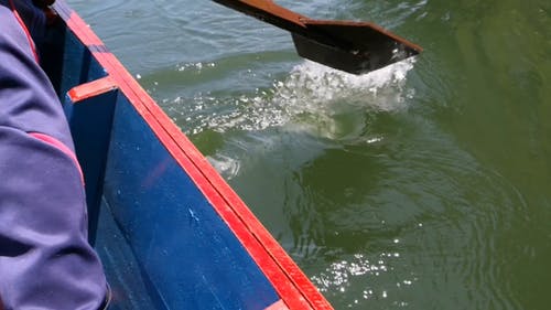 在水中划船 · 免费素材视频