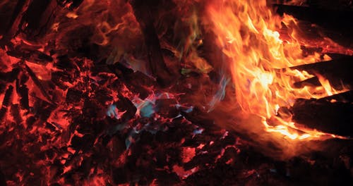 篝火燃烧的火焰 · 免费素材视频
