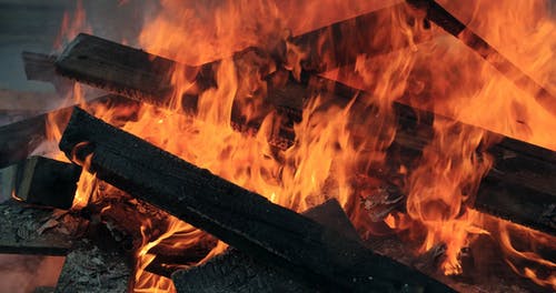 燃烧一堆废树林 · 免费素材视频