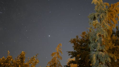 在晴朗的夜空上空的星星 · 免费素材视频