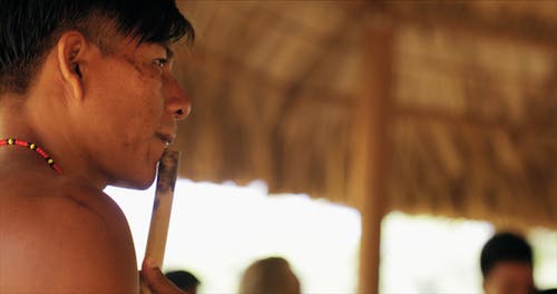 弹奏乐器的部落人 · 免费素材视频