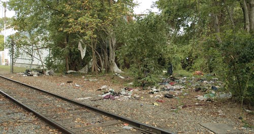垃圾散落在铁轨附近的树木附近 · 免费素材视频