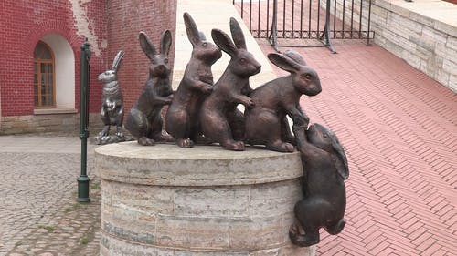 野兔雕像在显示团队合作的显示 · 免费素材视频