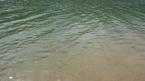 水面朝一个方向运动 · 免费素材视频