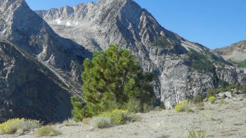 在靠近悬崖的干旱土地上观看洛矶山脉 · 免费素材视频