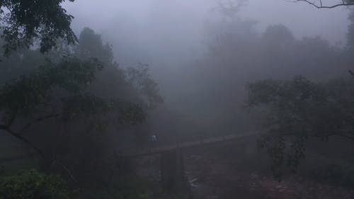 慢跑的人在一个有雾的早晨过人行天桥 · 免费素材视频