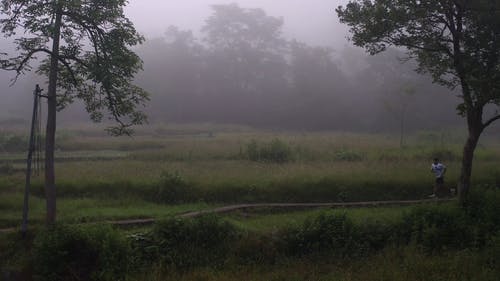 一个人在人造步道在早上慢跑 · 免费素材视频