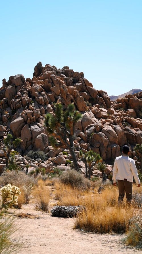 走在落基山的人 · 免费素材视频