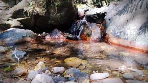 清澈的水从岩石向下流到浅溪的低角度镜头 · 免费素材视频