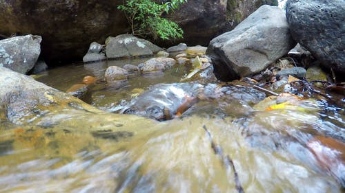 一条狭窄的河流，流淌在一块岩石上 · 免费素材视频