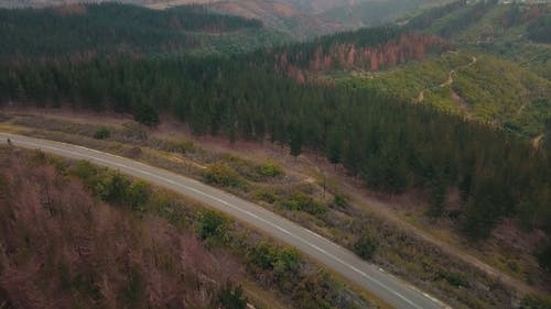 美丽的自然风光 · 免费素材视频