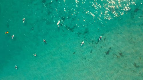 一群在海上等待冲浪的冲浪者 · 免费素材视频