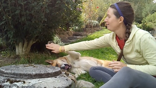 一个女人和她的狗在花园公园玩 · 免费素材视频