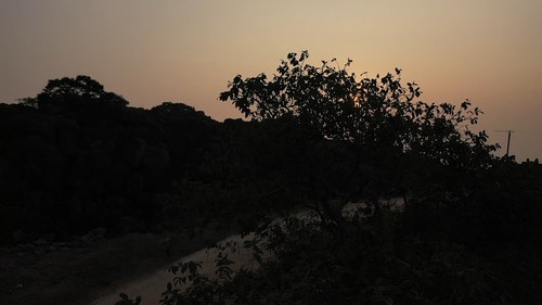 有关剪影,天性,太阳的免费素材视频