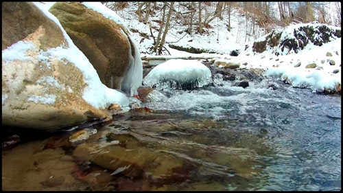 有关冰,岩石,森林的免费素材视频