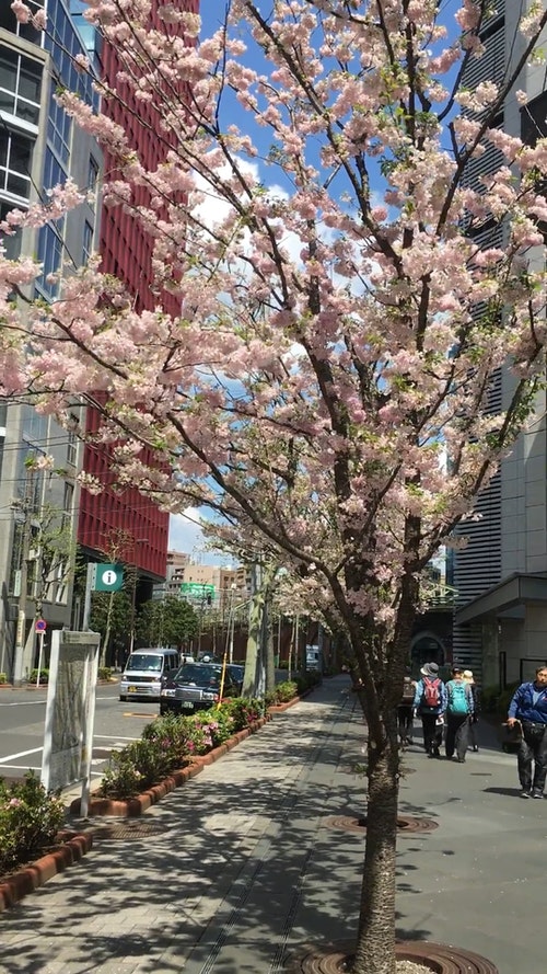 有关垂直视频,城市,户外的免费素材视频