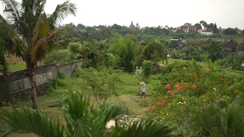 有关人,天性,性质的免费素材视频