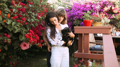 有关@户外, femme, genderfluid的免费素材视频